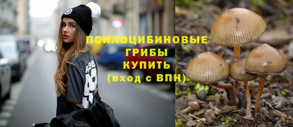 Альфа ПВП Балабаново