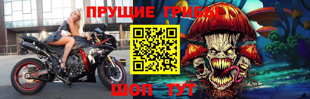 Псилоцибиновые грибы Cubensis  Дятьково 