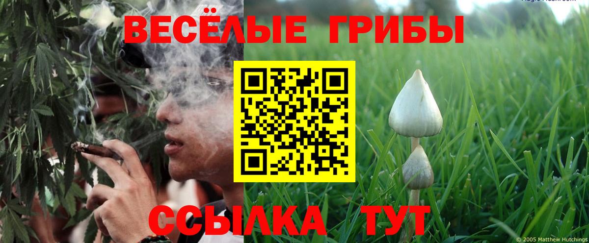 Псилоцибиновые грибы Magic Shrooms Дятьково